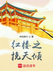 红楼之挽天倾封面